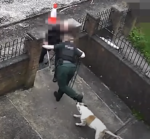 Dog Attack on Police Officer in Belfast