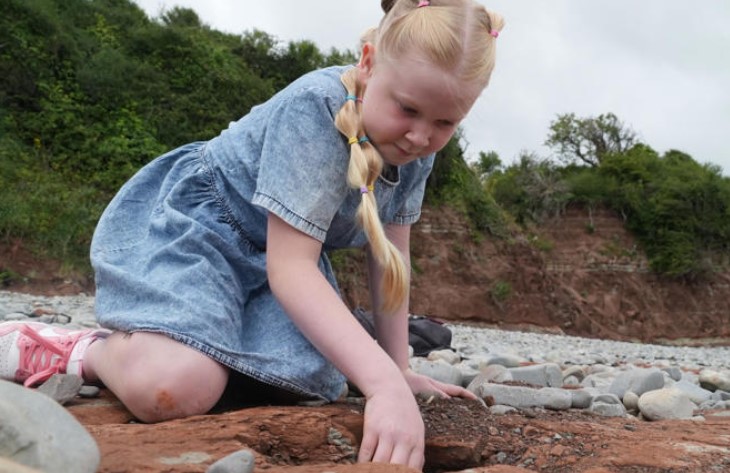 Dinosaur Footprints Found By Ten-Year-Old Girl in Wales